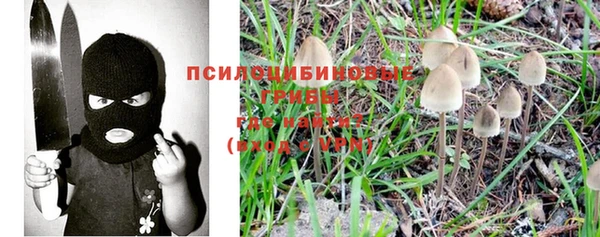 МДПВ Алексеевка